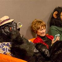 monkeys-on-the-couch-5